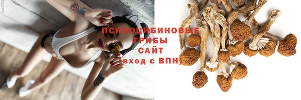 спайс Аркадак