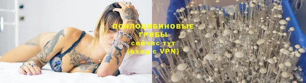 спайс Аркадак