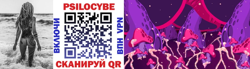 МЕГА вход Чудово Галлюциногенные грибы мицелий