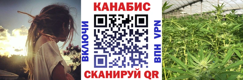 Канабис гибрид  Чудово 